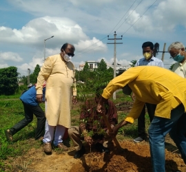 5th June, 2020. World Environment Day celebration by planting trees in T.U. Campus