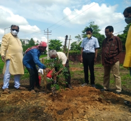 5th June, 2020. World Environment Day celebration by planting trees in T.U. Campus