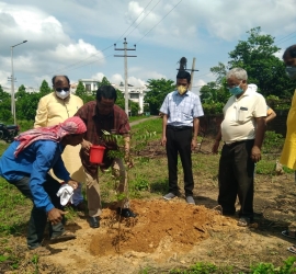 5th June, 2020. World Environment Day celebration by planting trees in T.U. Campus