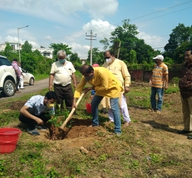 5th June, 2020. World Environment Day celebration by planting trees in T.U. Campus