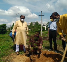 5th June, 2020. World Environment Day celebration by planting trees in T.U. Campus