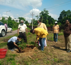 5th June, 2020. World Environment Day celebration by planting trees in T.U. Campus